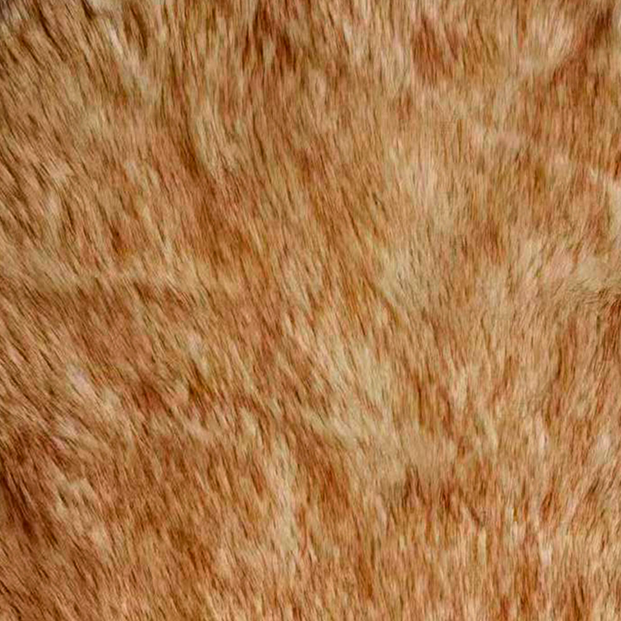 Tapete-FOX-Castanho